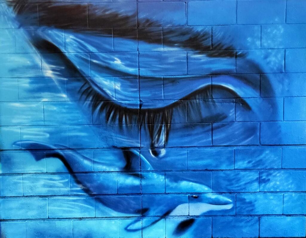 laiamarita-mural-delfines-extinción-mar-arte-urbano-festival-monart-girona-salt